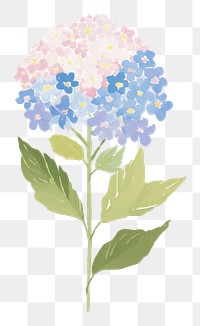 PNG Hydrangea flower plant leaf art. AI generated Image by rawpixel.