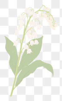 PNG Lily of the valley flower plant white. AI generated Image by rawpixel.
