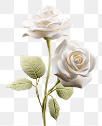 PNG Two white rose flower petal plant. AI generated Image by rawpixel.