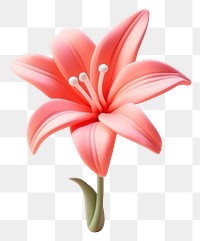 PNG Lily flower lily plant inflorescence. AI generated Image by rawpixel.