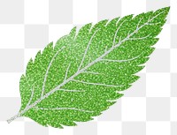 PNG Simple leaf icon plant green white background. AI generated Image by rawpixel.