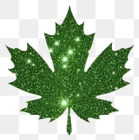 PNG Simple maple leaf icon plant shape green
