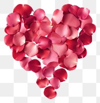 PNG  Rose petals flower shape plant. AI generated Image by rawpixel.
