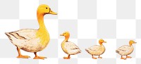 PNG Family of duck animal bird anseriformes. AI generated Image by rawpixel.