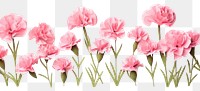PNG Carnation flower blossom plant. AI generated Image by rawpixel.