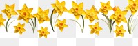PNG Daffodil flower plant white background. AI generated Image by rawpixel.