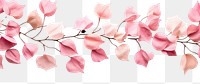 PNG Dry flower backgrounds petal plant. AI generated Image by rawpixel.