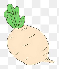 PNG  Radish vegetable cartoon plant. AI generated Image by rawpixel.