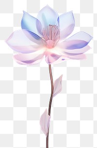 PNG Magnolia flower blossom petal. AI generated Image by rawpixel.