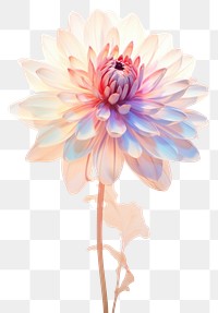 PNG Dahlia flower petal plant. AI generated Image by rawpixel.