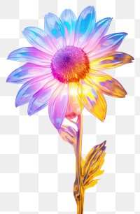 PNG Sunflower petal plant daisy. AI generated Image by rawpixel.