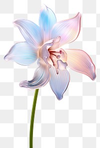 PNG Snowdrop flower blossom orchid. AI generated Image by rawpixel.