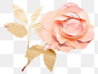 PNG  Rose flower petal plant. AI generated Image by rawpixel.