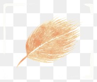 PNG Boaat drawing nature sketch. AI generated Image by rawpixel.