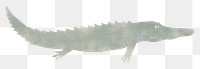 PNG Crocodile reptile animal fish. 