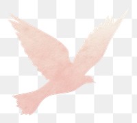 PNG Dove animal flying bird. AI generated Image by rawpixel.