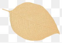 PNG Leaf plant white background pattern. AI generated Image by rawpixel.