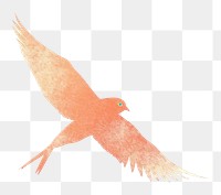 PNG Parrot animal flying bird. AI generated Image by rawpixel.