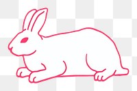PNG Rabbit animal mammal white. AI generated Image by rawpixel.