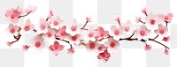 PNG Sakura flower blossom plant. AI generated Image by rawpixel.