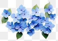 PNG Hydrangea flowers petal plant leaf. AI generated Image by rawpixel.