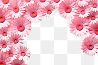 PNG Gerbera flower backgrounds petal. AI generated Image by rawpixel.