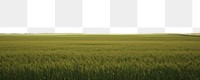 PNG  Green field grassland outdoors horizon. AI generated Image by rawpixel.