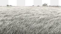 PNG Grass field outdoors horizon nature. 