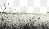 PNG Grass field outdoors nature plant. AI generated Image by rawpixel.