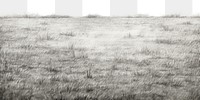 PNG  Grass field backgrounds outdoors nature. AI generated Image by rawpixel.