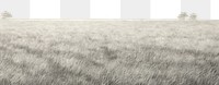 PNG  Grass field backgrounds outdoors horizon. AI generated Image by rawpixel.