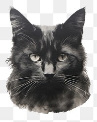 PNG Cat drawing mammal animal. AI generated Image by rawpixel.