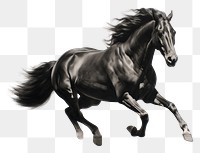 PNG  Horse stallion running animal. AI generated Image by rawpixel.