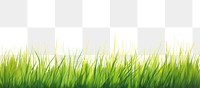 PNG  Grass panoramic plant green. AI generated Image by rawpixel.