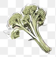 PNG Broccoli drawing sketch vegetable. AI generated Image by rawpixel.