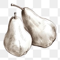 PNG Pears drawing sketch plant. AI generated Image by rawpixel.