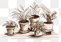 PNG Potted indoor garden drawing sketch plant. AI generated Image by rawpixel.