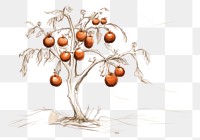 PNG Drawing sketch plant food. AI generated Image by rawpixel.