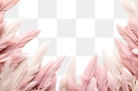 PNG Pampas backgrounds pattern white background. AI generated Image by rawpixel.