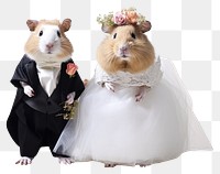 PNG Hamster with full body wedding rodent animal. AI generated Image by rawpixel.