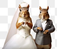 PNG Squirrel with full body wedding rodent animal. 