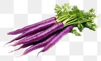 PNG  Purple carrots vegetable parsley green. AI generated Image by rawpixel.