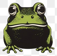 PNG A Frog frog amphibian wildlife. AI generated Image by rawpixel.
