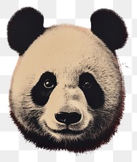 PNG A Panda animal mammal panda. AI generated Image by rawpixel.