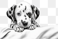 PNG The little dalmatian dog in embroidery style drawing animal mammal. 