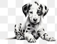 PNG  The little dalmatian dog in embroidery style animal mammal pet. AI generated Image by rawpixel.