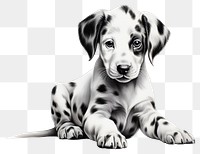 PNG The little dalmatian dog in embroidery style animal mammal pet. 