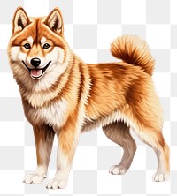 PNG The shiba-inu dog in embroidery style mammal animal pet. AI generated Image by rawpixel.