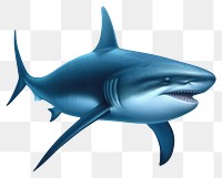 PNG  A shark animal fish underwater. AI generated Image by rawpixel.