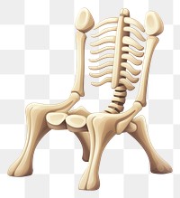 PNG Bone chair furniture white background anatomy. AI generated Image by rawpixel.
